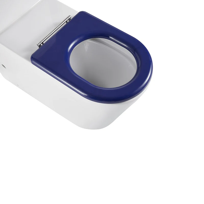 Cesena Care Rimless Care Toilet Suite - Blue Seat & Raised Button - Image 3
