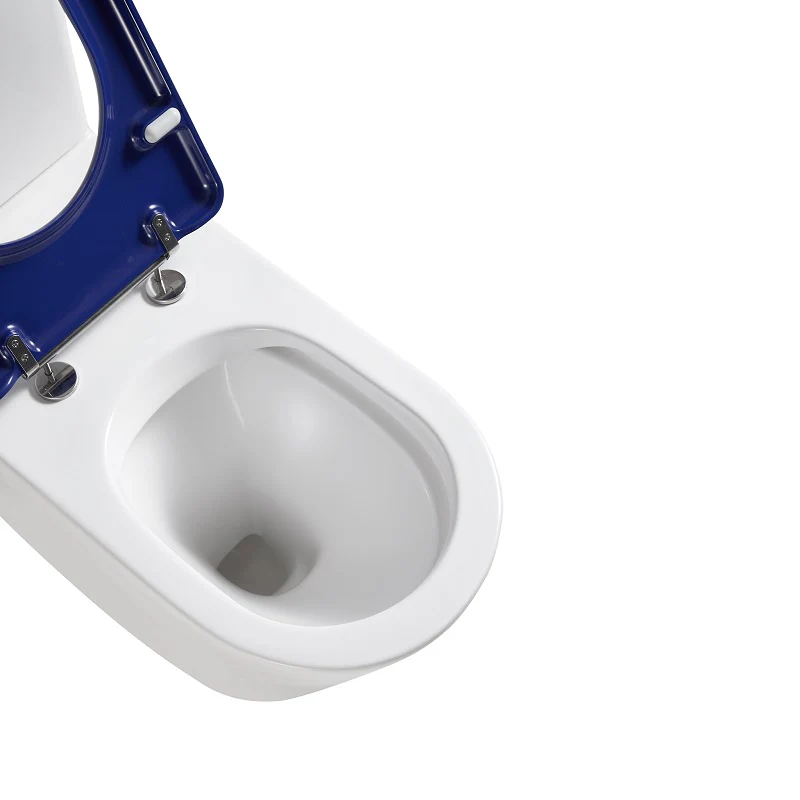 Cesena Care Rimless Care Toilet Suite - Blue Seat & Raised Button - Image 4