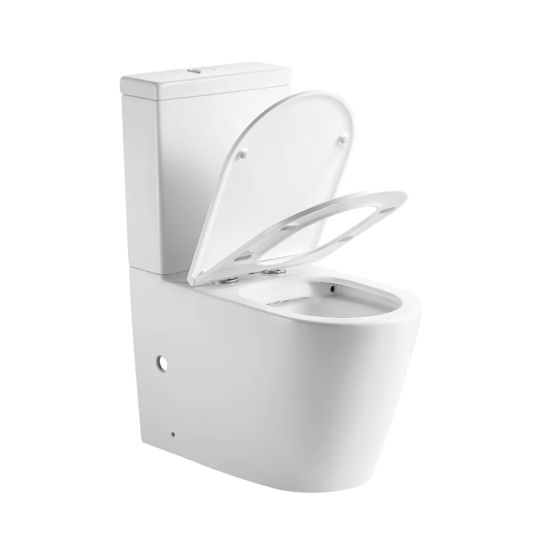 Ecco Rimless Toilet Suite - Image 2