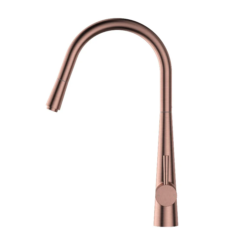 Kasper Champagne Round Pull-Out Kitchen Mixer - Image 2
