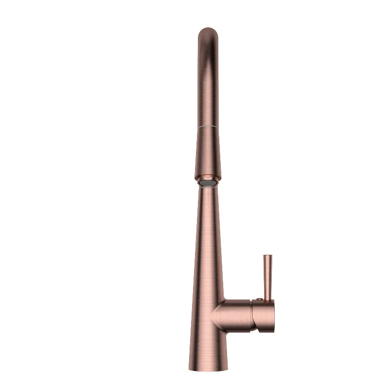 Kasper Champagne Round Pull-Out Kitchen Mixer - Image 3