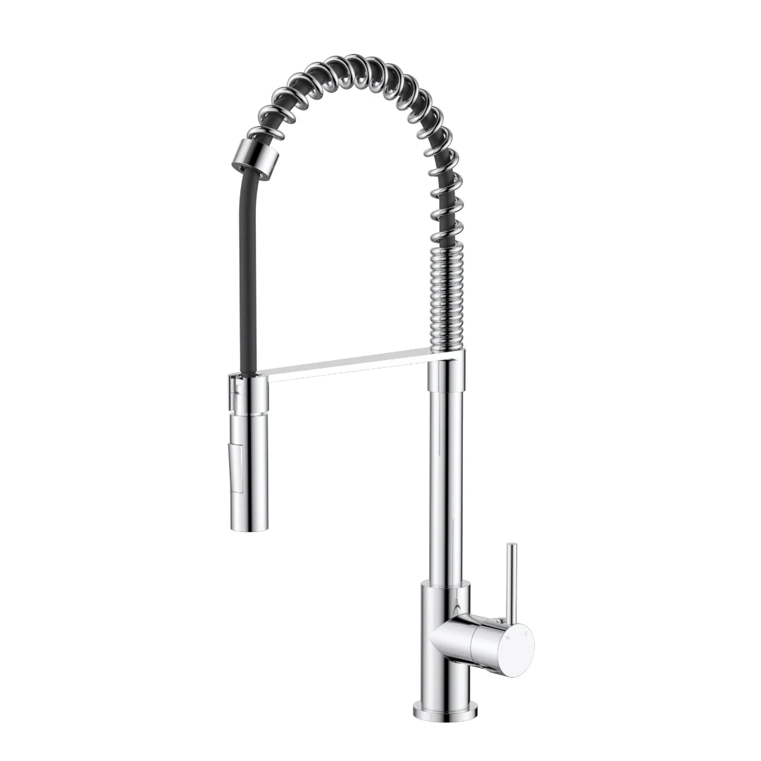 Kasper Chrome Spring Kitchen Mixer