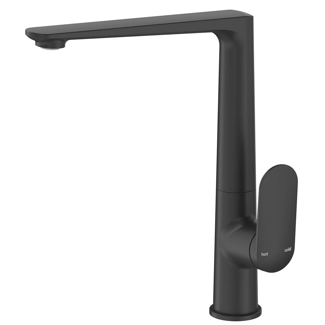 Lantra Matte Black Sink Mixer