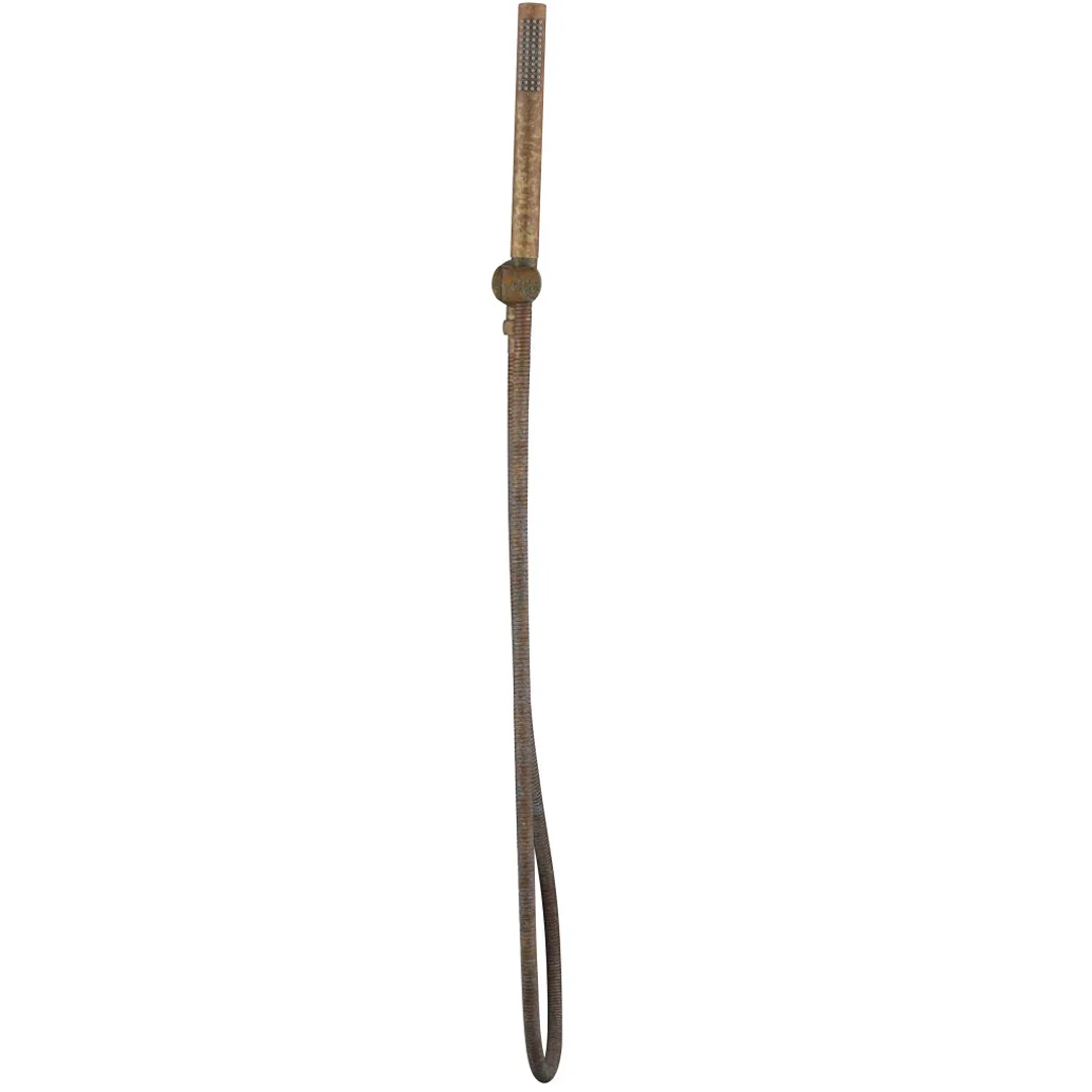 Mica LVB Living Brass Hand Shower - Image 3