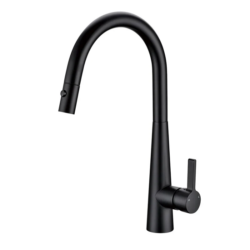 Otus Lux Matte Black Pull Out Kitchen Mixer