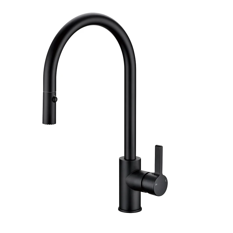 Otus Matte Black Pull Out Kitchen Mixer