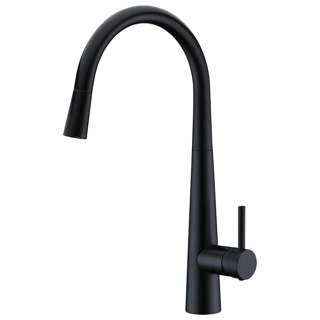 Parker Matte Black Pull Out Kitchen Mixer