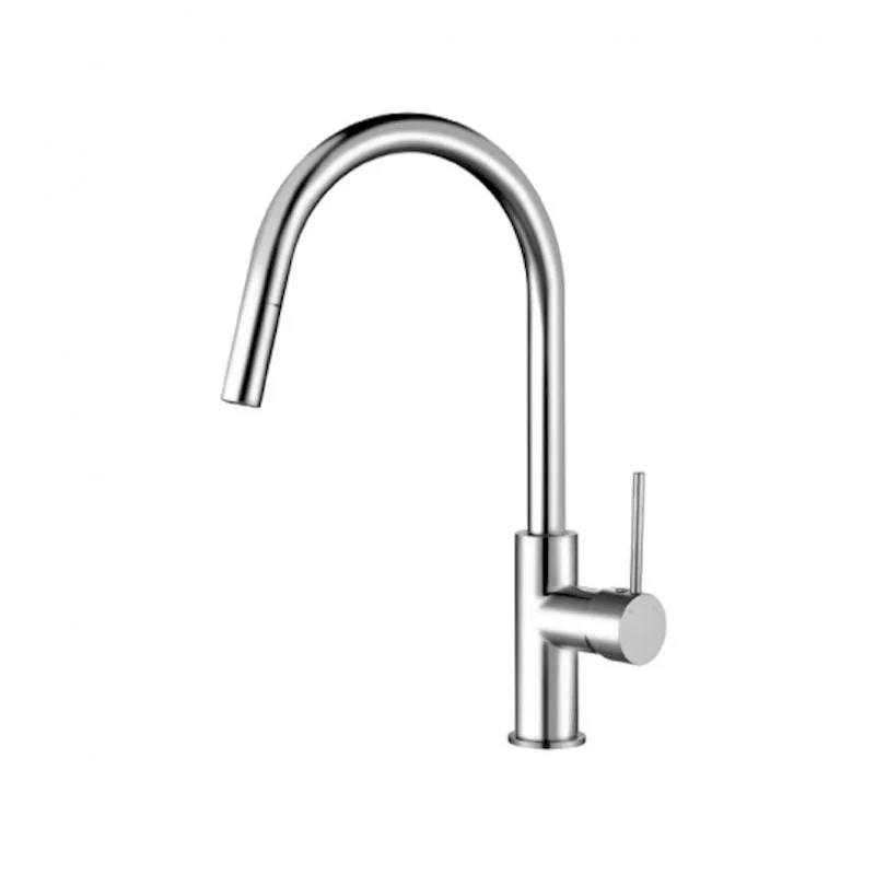 Star Mini Pull Out Kitchen Mixer