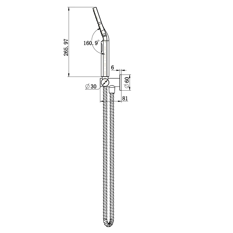 Star Mini Warm Brushed Nickel Hand Held Shower Set - Image 2