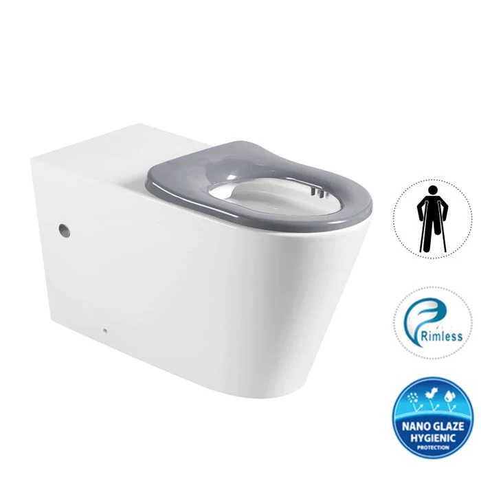 Wellness Rimless Care In Wall Toilet Suite Pan