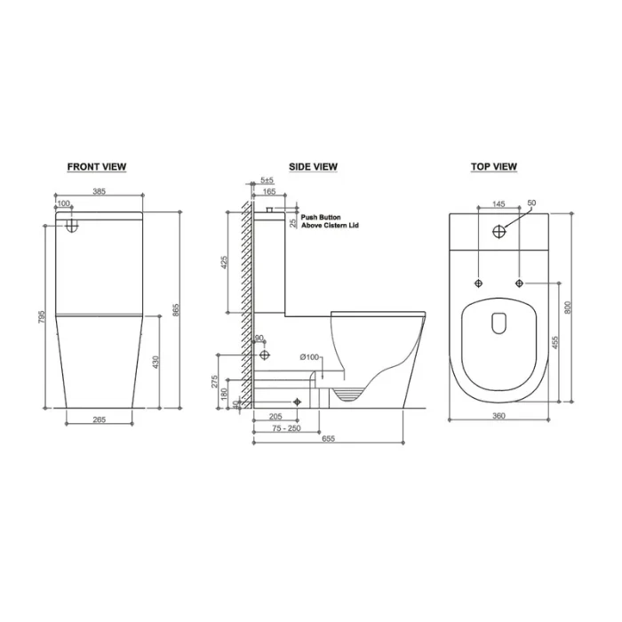 Wellness Rimless Care Toilet Suite - Image 2