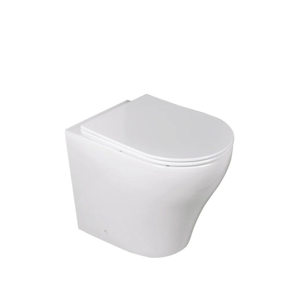Zara Tornado In Wall Toilet Suite Pan